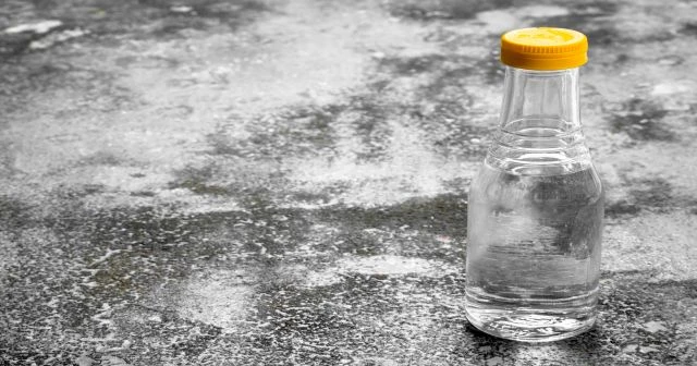 okula gıden cocuklarda sac bıtını yok eden bes kesın cozum (1)